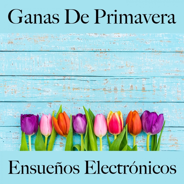 Ganas De Primavera: Ensueños Electrónicos - La Mejor Música Para Descansarse