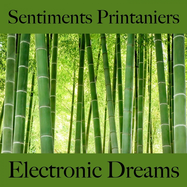 Sentiments Printaniers: Electronic Dreams - La Meilleure Musique Pour Se Détendre