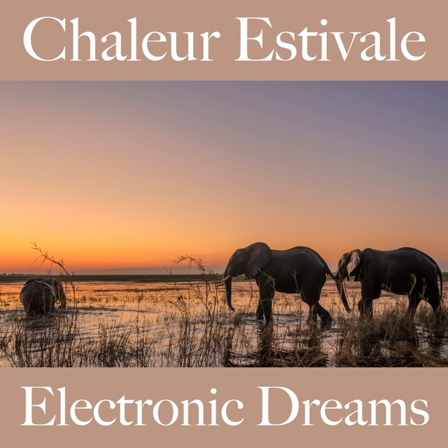 Chaleur Estivale: Electronic Dreams - La Meilleure Musique Pour Se Détendre