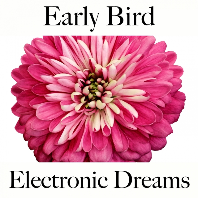 Early Bird: Electronic Dreams - Die Beste Musik Zum Entspannen