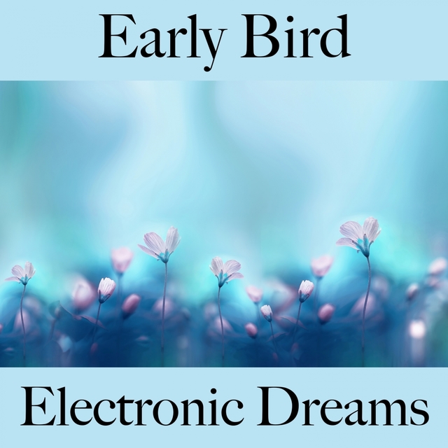 Early Bird: Electronic Dreams - A Melhor Música Para Relaxar