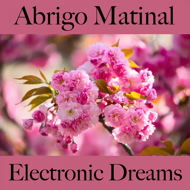 Abrigo Matinal: Electronic Dreams - A Melhor Música Para Relaxar