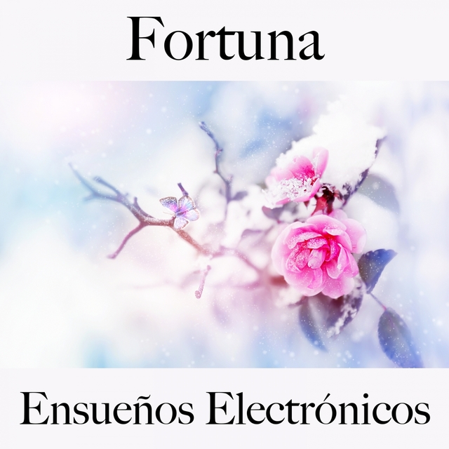 Fortuna: Ensueños Electrónicos - La Mejor Música Para Descansarse