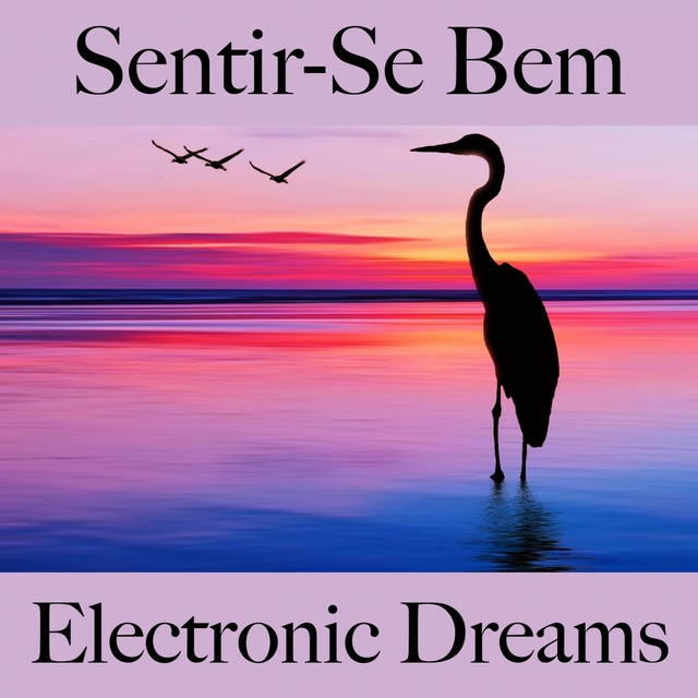 Sentir-Se Bem: Electronic Dreams - A Melhor Música Para Relaxar