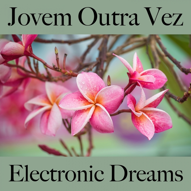 Jovem Outra Vez: Electronic Dreams - A Melhor Música Para Relaxar