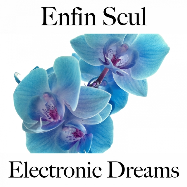 Enfin Seul: Electronic Dreams - La Meilleure Musique Pour Se Détendre