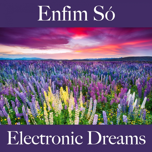 Enfim Só: Electronic Dreams - A Melhor Música Para Relaxar