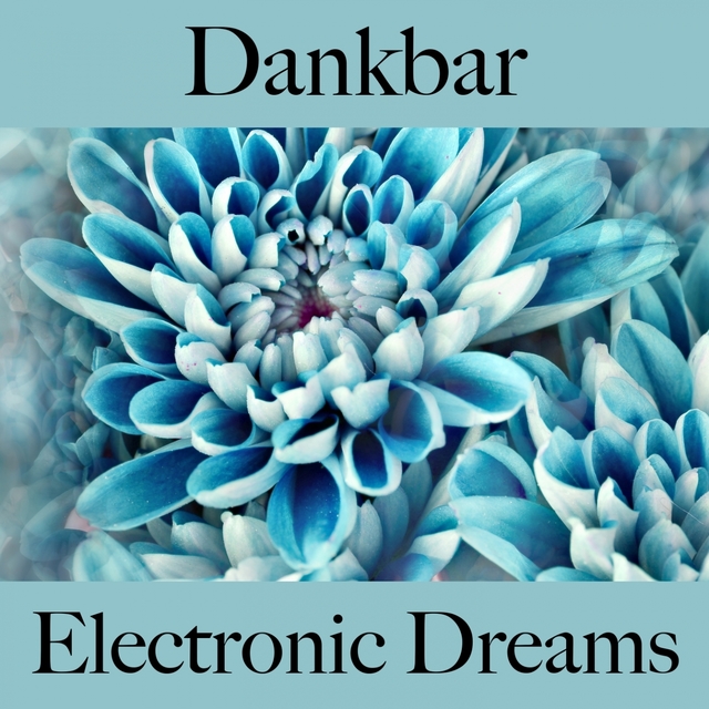 Dankbar: Electronic Dreams - Die Beste Musik Zum Entspannen