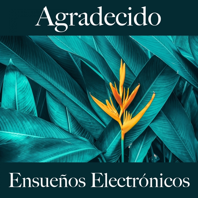 Agradecido: Ensueños Electrónicos - La Mejor Música Para Descansarse