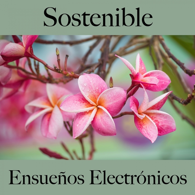 Sostenible: Ensueños Electrónicos - La Mejor Música Para Descansarse