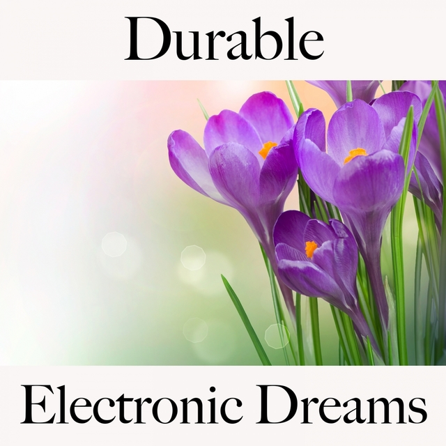 Durable: Electronic Dreams - La Meilleure Musique Pour Se Détendre