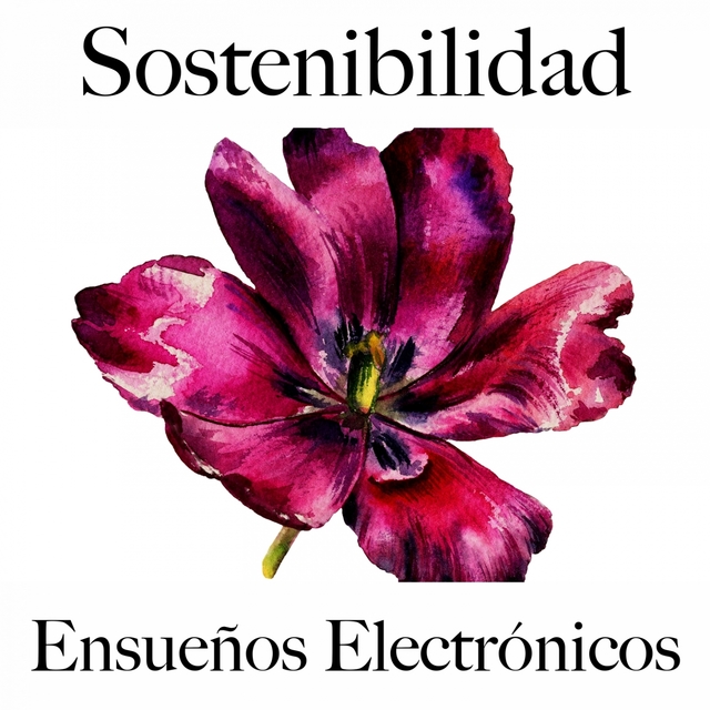 Sostenibilidad: Ensueños Electrónicos - La Mejor Música Para Descansarse