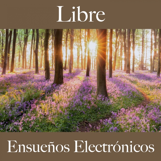 Libre: Ensueños Electrónicos - La Mejor Música Para Descansarse