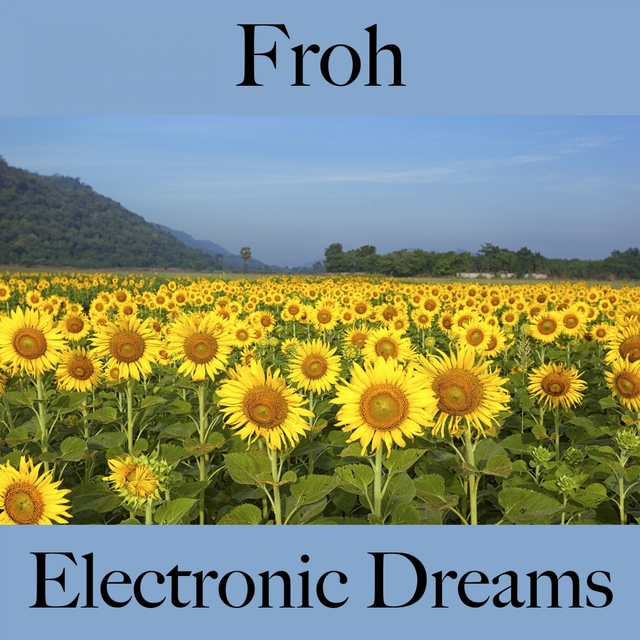 Froh: Electronic Dreams - Die Beste Musik Zum Entspannen