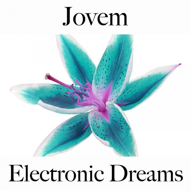 Jovem: Electronic Dreams - A Melhor Música Para Relaxar