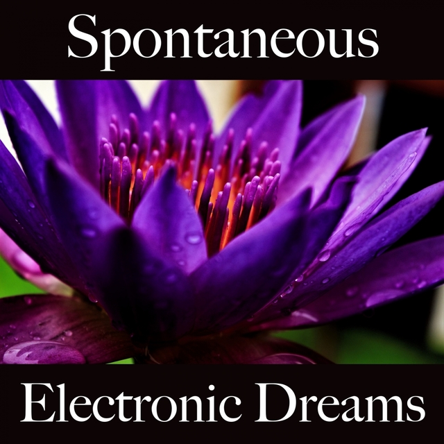 Spontaneous: Electronic Dreams - The Best Music For Relaxation