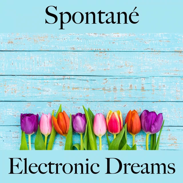 Spontané: Electronic Dreams - La Meilleure Musique Pour Se Détendre