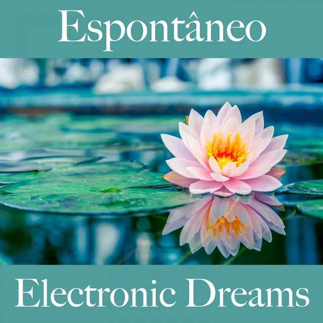 Espontâneo: Electronic Dreams - A Melhor Música Para Relaxar