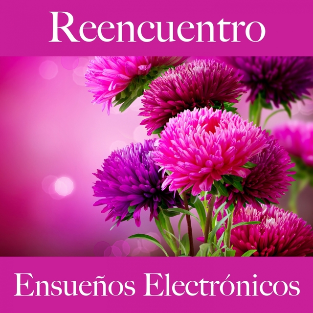 Reencuentro: Ensueños Electrónicos - La Mejor Música Para Descansarse