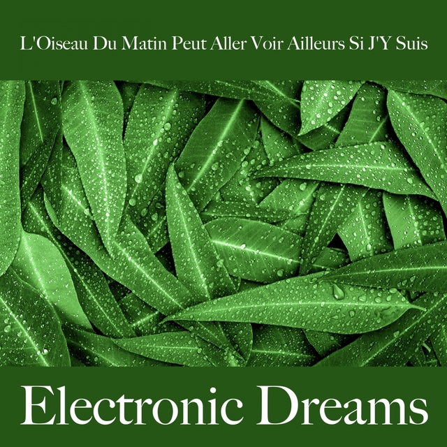 L'Oiseau Du Matin Peut Aller Voir Ailleurs Si J'Y Suis: Electronic Dreams - La Meilleure Musique Pour Se Sentir Mieux