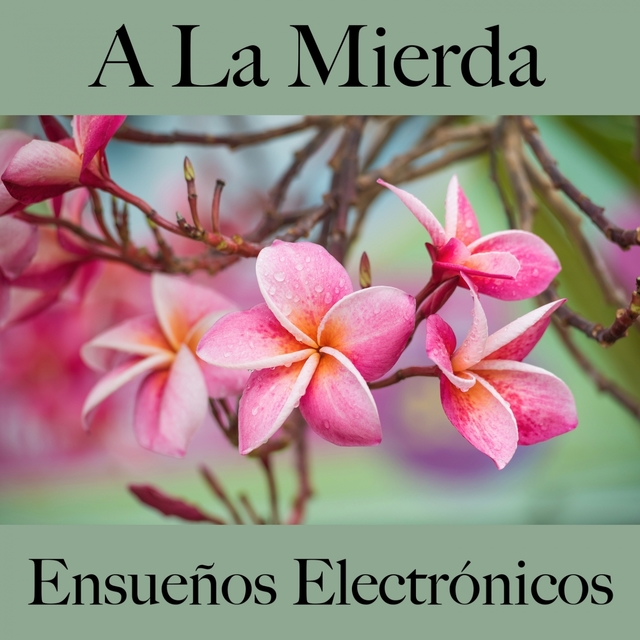 A La Mierda: Ensueños Electrónicos - La Mejor Música Para Sentirse Mejor