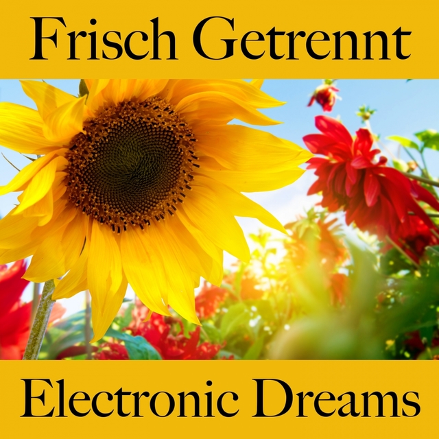 Frisch Getrennt: Electronic Dreams - Die Beste Musik Um Sich Besser Zu Fühlen
