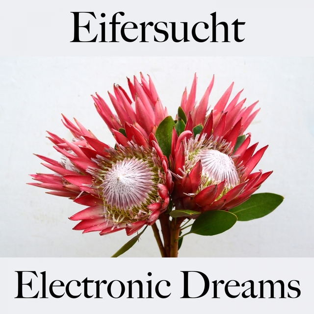 Eifersucht: Electronic Dreams - Die Beste Musik Um Sich Besser Zu Fühlen