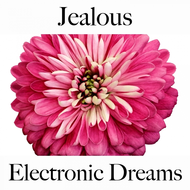 Jealous: Electronic Dreams - The Best Music For Feeling Better