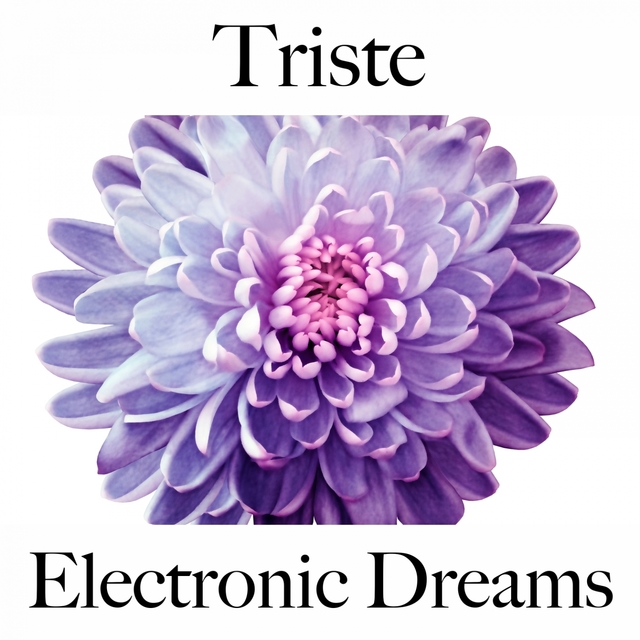 Triste: Electronic Dreams - La Meilleure Musique Pour Se Sentir Mieux