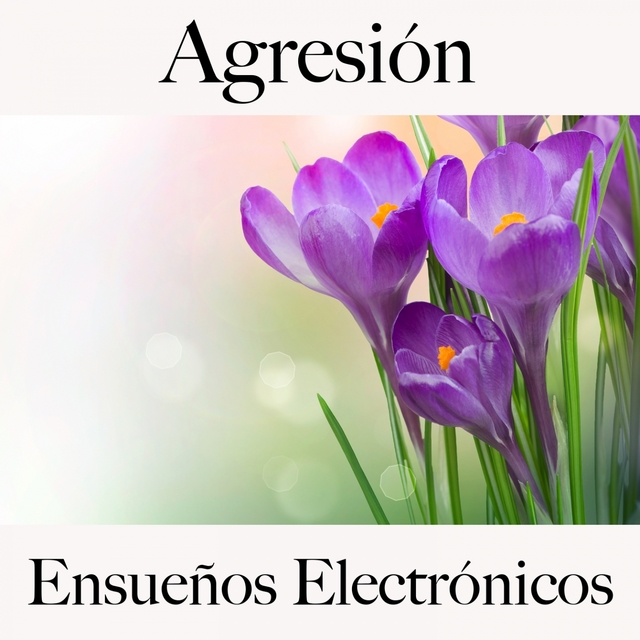 Agresión: Ensueños Electrónicos - La Mejor Música Para Sentirse Mejor