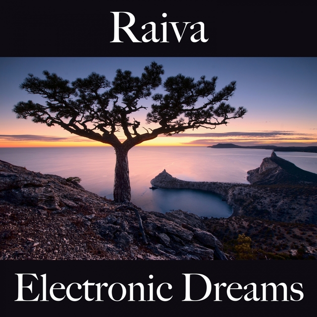 Raiva: Electronic Dreams - A Melhor Música Para Sentir-Se Melhor