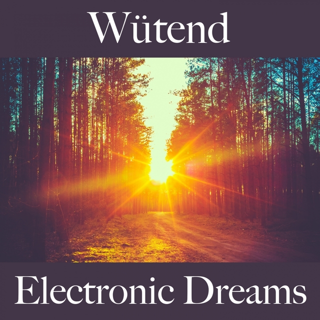 Wütend: Electronic Dreams - Die Beste Musik Um Sich Besser Zu Fühlen