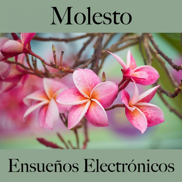 Molesto: Ensueños Electrónicos - La Mejor Música Para Sentirse Mejor