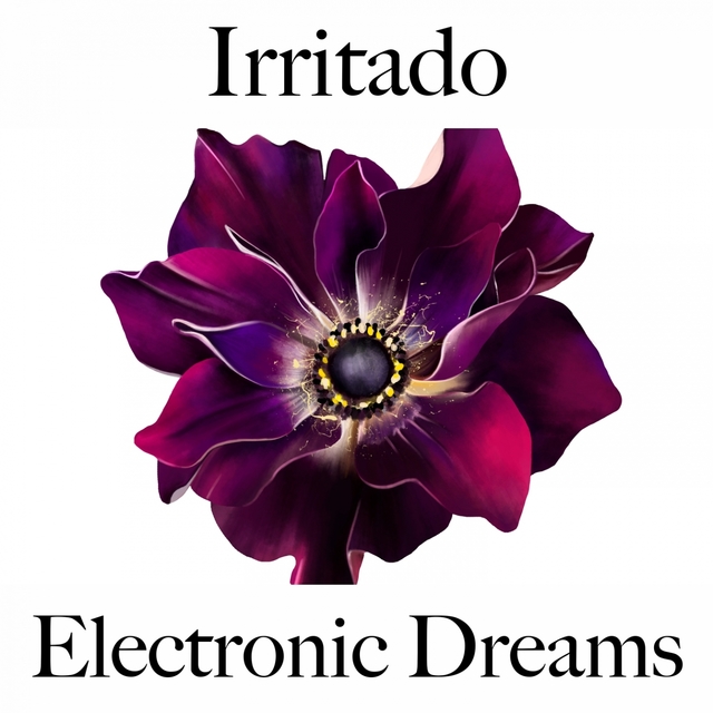 Irritado: Electronic Dreams - A Melhor Música Para Sentir-Se Melhor