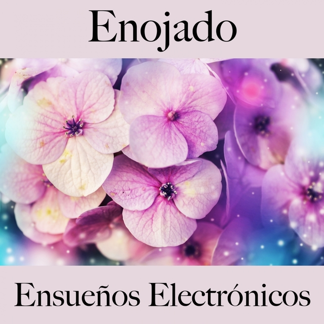 Enojado: Ensueños Electrónicos - La Mejor Música Para Sentirse Mejor