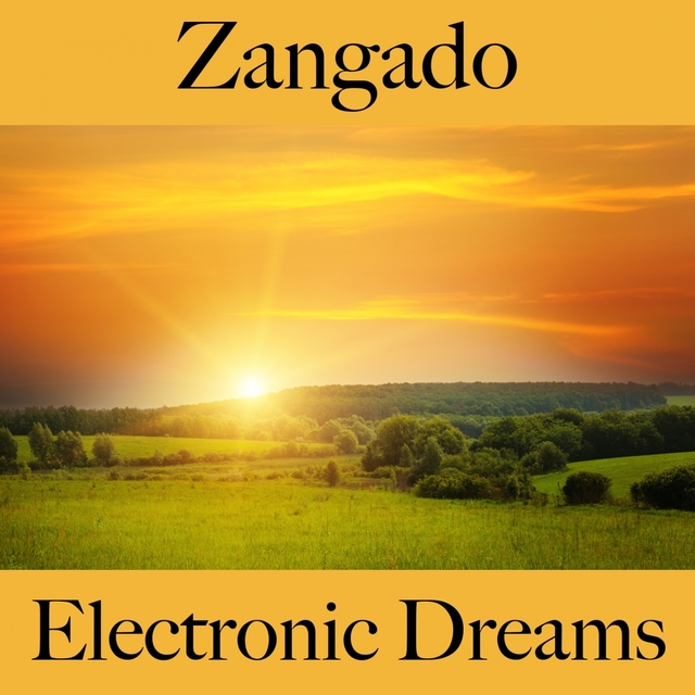 Zangado: Electronic Dreams - A Melhor Música Para Sentir-Se Melhor