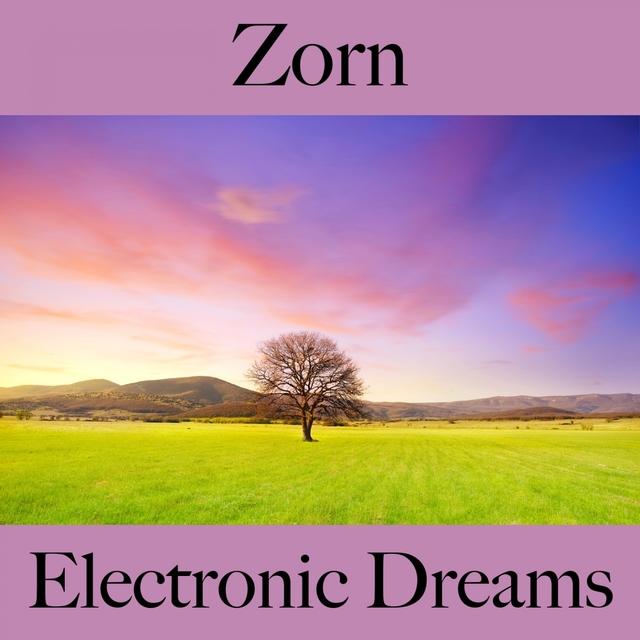 Zorn: Electronic Dreams - Die Beste Musik Um Sich Besser Zu Fühlen