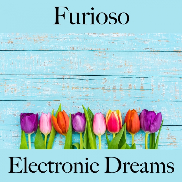 Furioso: Electronic Dreams - A Melhor Música Para Sentir-Se Melhor