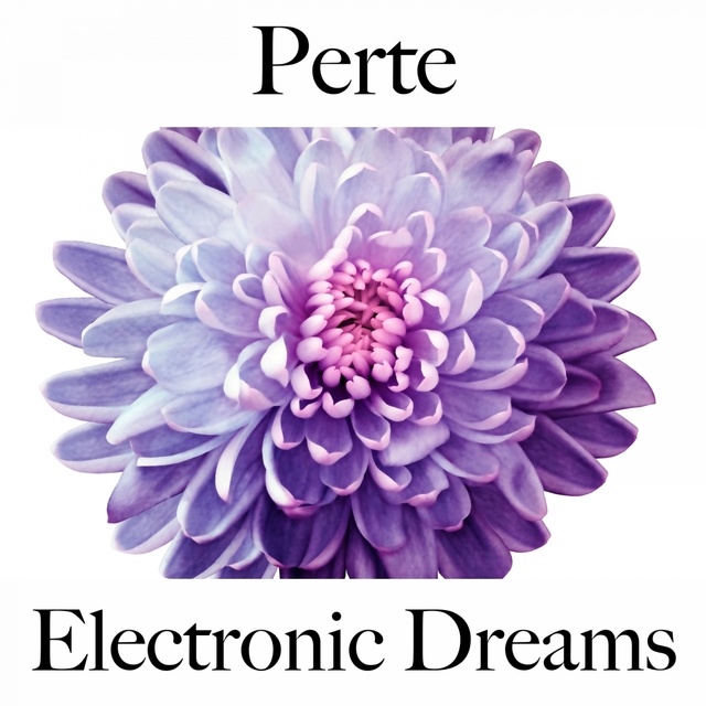 Perte: Electronic Dreams - La Meilleure Musique Pour Se Sentir Mieux