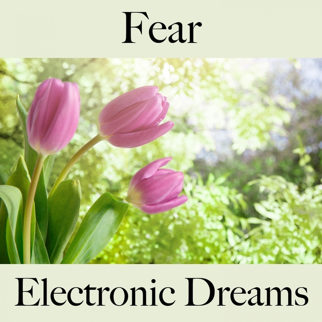 Fear: Electronic Dreams - The Best Music For Feeling Better