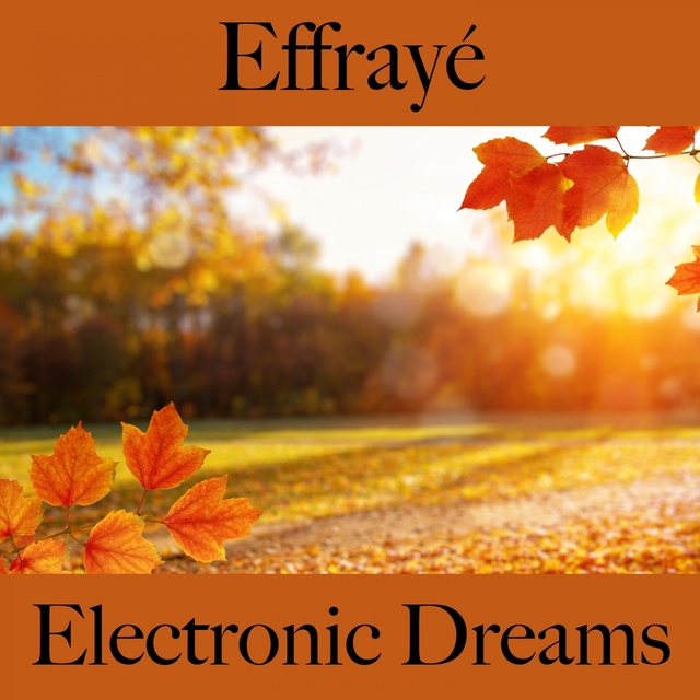 Effrayé: Electronic Dreams - La Meilleure Musique Pour Se Sentir Mieux