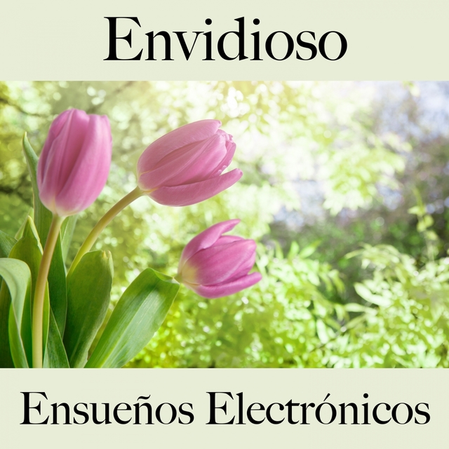 Envidioso: Ensueños Electrónicos - La Mejor Música Para Sentirse Mejor