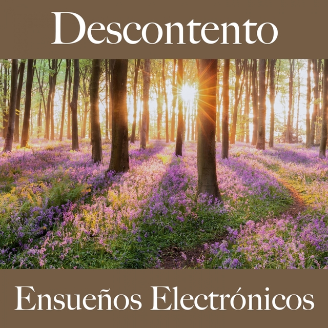 Descontento: Ensueños Electrónicos - La Mejor Música Para Sentirse Mejor