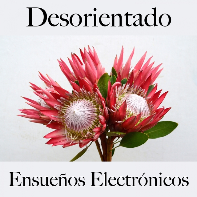 Desorientado: Ensueños Electrónicos - La Mejor Música Para Sentirse Mejor