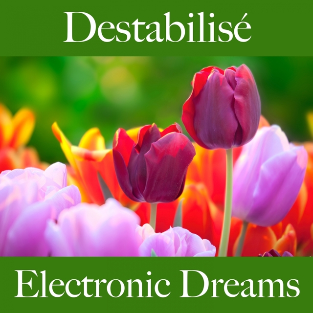 Destabilisé: Electronic Dreams - La Meilleure Musique Pour Se Sentir Mieux