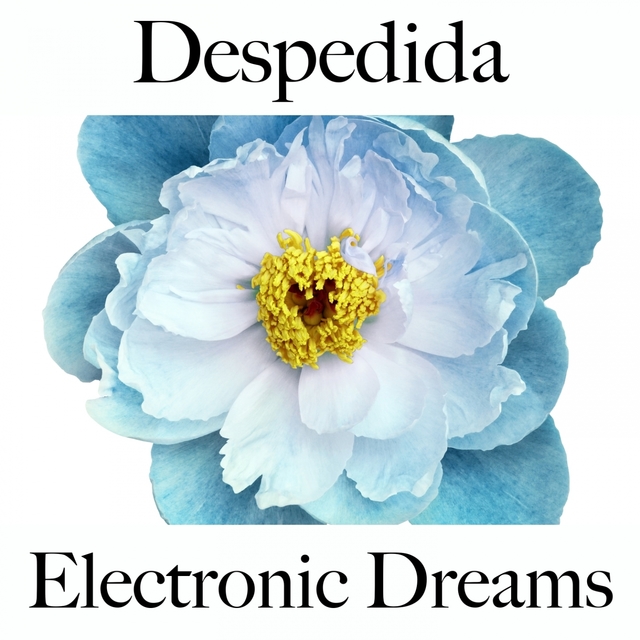 Despedida: Electronic Dreams - A Melhor Música Para Sentir-Se Melhor