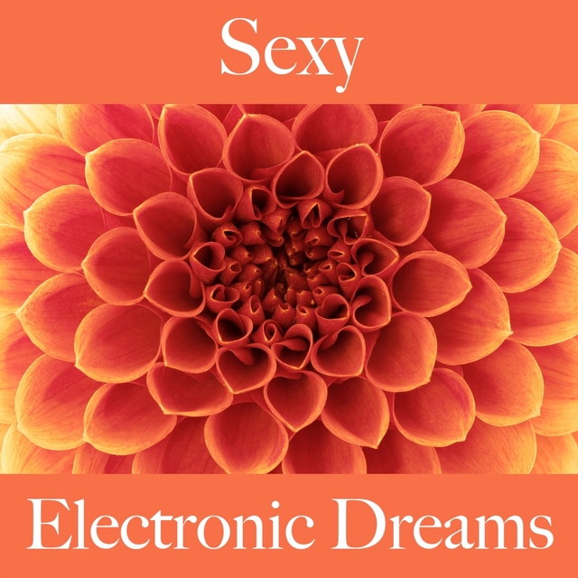 Sexy: Electronic Dreams - Pour Les Moments De Sensualité À Deux