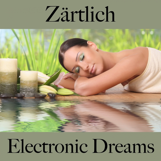 Zärtlich: Electronic Dreams - Die Beste Musik Für Die Sinnliche Zeit Zu Zweit