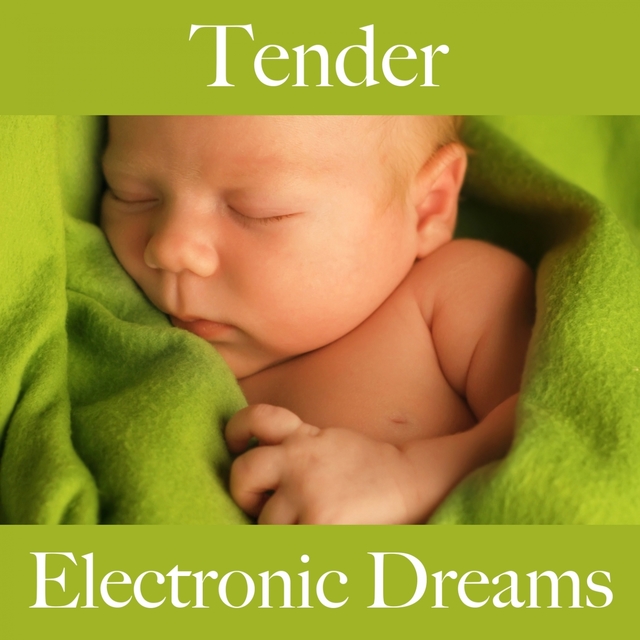 Tender: Electronic Dreams - The Best Music For The Sensual Time Together