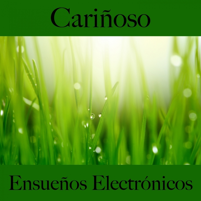 Cariñoso: Ensueños Electrónicos - La Mejor Música Para El Tiempo Sensual Entre Dos